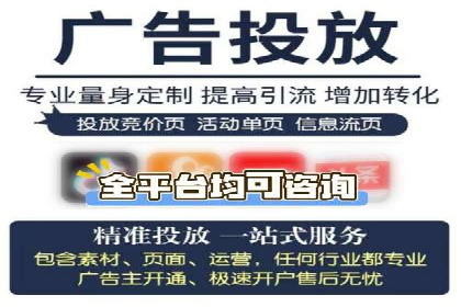 谷歌竞价广告与SEO结合的营销案例解析